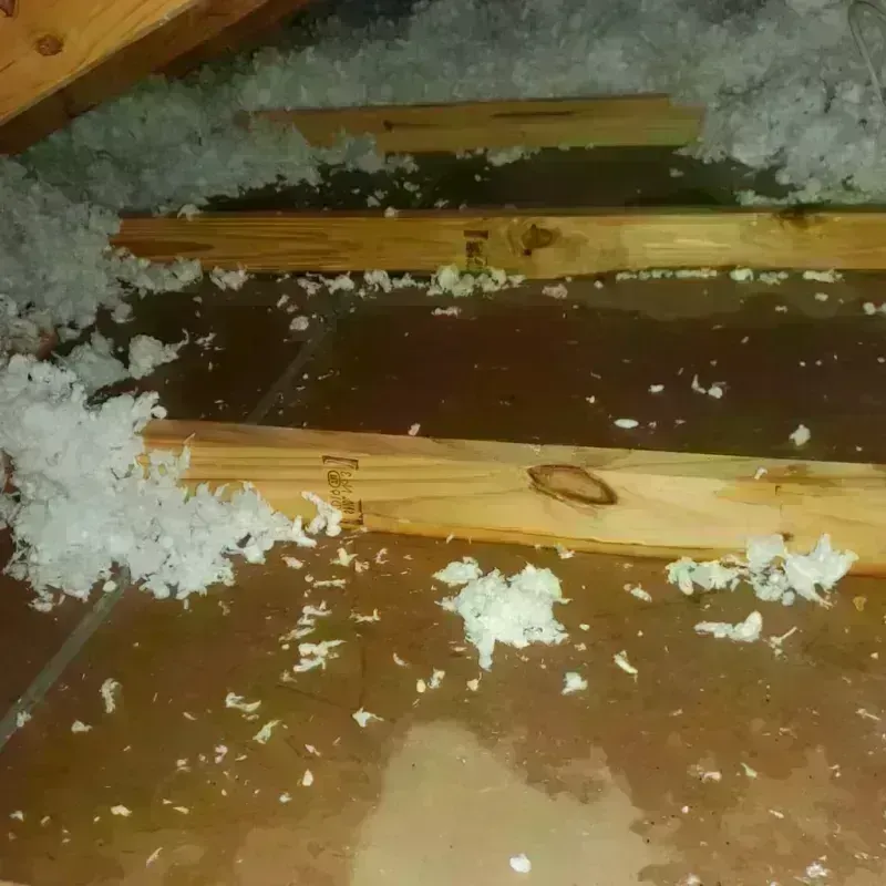 Attic Water Damage in Ballplay, AL