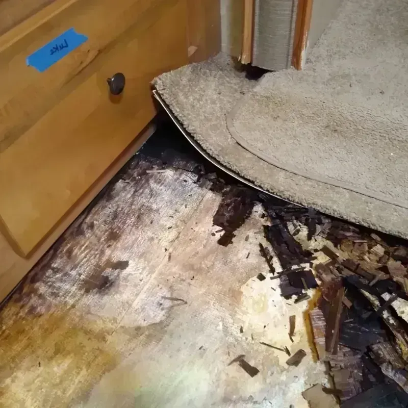 Wood Floor Water Damage in Ballplay, AL